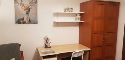 LUX po remoncie duży pokój wynajmę Kiwerskiego 3 Kalinowszczyzna - miniatura 4