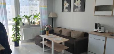 *Mieszkanie*2-pok*Nowe Bojary*Do wynajęcia - miniatura 2