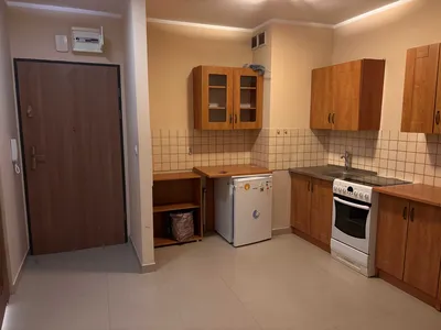 Kawalerka ściegiennego - miniatura 5