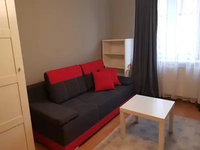 Duży pokój do wynajęcia jedna osoba lub para - miniatura 2
