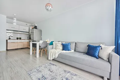Salon z kuchnią + oddzielna sypialnia – ul. Architektów 18 - miniatura 2