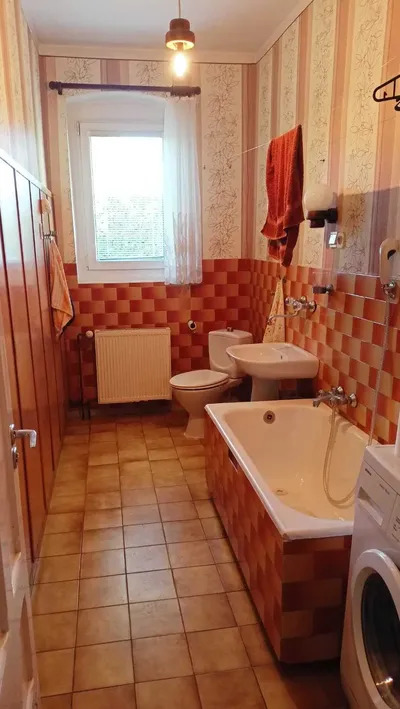 Duże mieszkanie na wynajem - Winogrady - miniatura 5