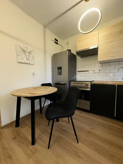 3-pokojowe mieszkanie do wynajęcia – centrum Torunia | 40 m² | bez pośredników | od zaraz - miniatura 3