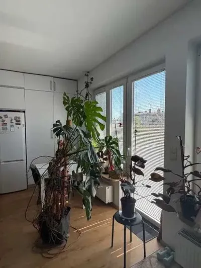 Mieszkanie w centrum Krakowa