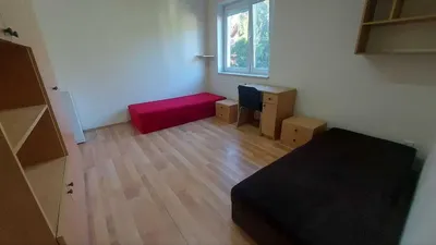 Pokój 1-2 osobowy cena 900 zł Ładne mieszkanie blisko UMK - miniatura 4