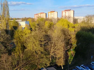 Wynajmę mieszkanie 2 pokoje - miniatura 4