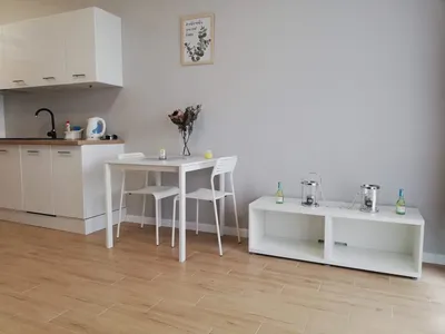 Kawalerka Kwiatkowskiego 1 - miniatura 3