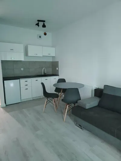 Kawalerka w centrum - miniatura 3