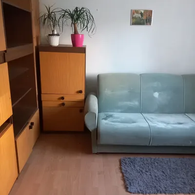 Wynajem pokoju w mieszkanie trupokojwum dla kobiety. Jest jeszcze 1 pokoj ,do obejrzenia. - miniatura 2