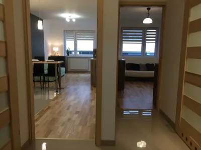 Mieszkanie 2 pokoje Centrum Szczecin ul. Raginisa - miniatura 3