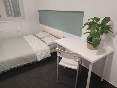 Mieszkanie 2 pokoje, UL. Błażeja. Wolne od 1.czerwca. - miniatura 4