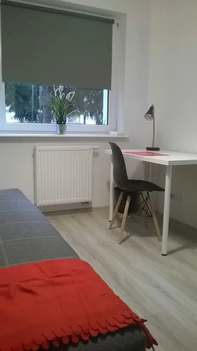 Gdańsk Wrzeszcz ul. Dzielna pokój jednoosobowy od zaraz - miniatura 3