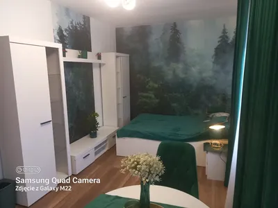 Przytulny umeblowany nowy pokój - miniatura 4