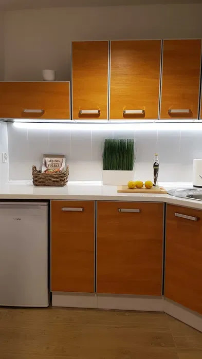 Mieszkanie do wynajęcia, 2 pokoje, centrum - miniatura 4