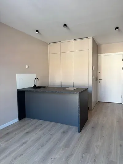 WYJĄTKOWY APARTAMENT PRZY PARKU WILSONA – PERFUMIARNIA 2, Śniadeckich 10, mieszkanie do wynajęcia bezpośrednio