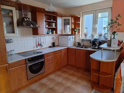 Duże mieszkanie dwupokojowe, zwierzęta, balkon, bezpośrednio, dla pary - miniatura 2