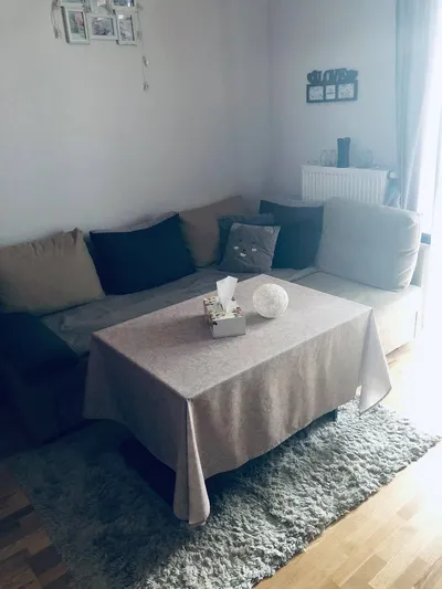 Wynajem mieszkania ul. Siemieńskiego - miniatura 3