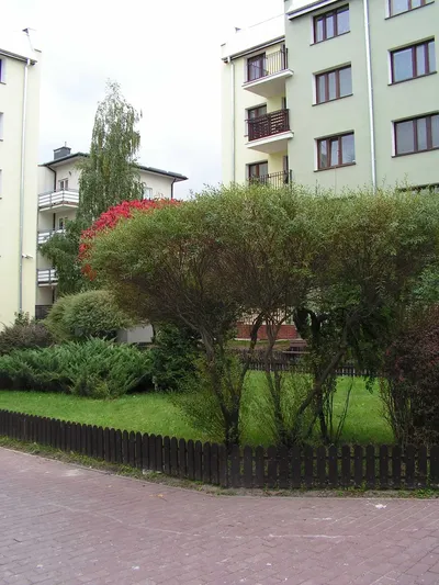 wolny pokój do wynajęcia - miniatura 2