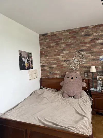 Bardzo duzy Pokoj dostepny od czerwca - Imielin - miniatura 3