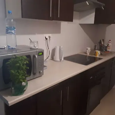 Mieszkanie do wynajęcia przy Politechnice Bydgoskiej - miniatura 5