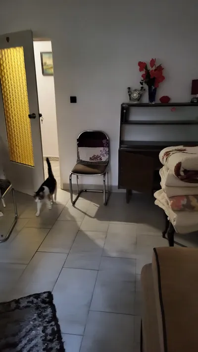 Wynajem pokoju w domku jednorodzinnym - miniatura 3