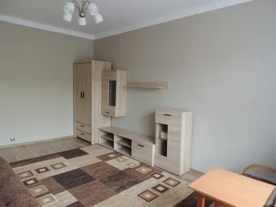 Mieszkanie 35m w centrum na wynajem - miniatura 2