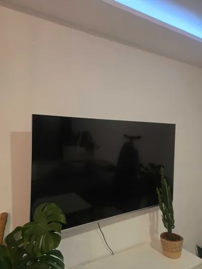 Dojlidy/zwierzęta akceptowane - miniatura 4