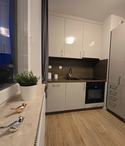 2-pokojowe mieszkanie 44 m² | zamknięte osiedle | garaż | bez prowizji | od zaraz - miniatura 4