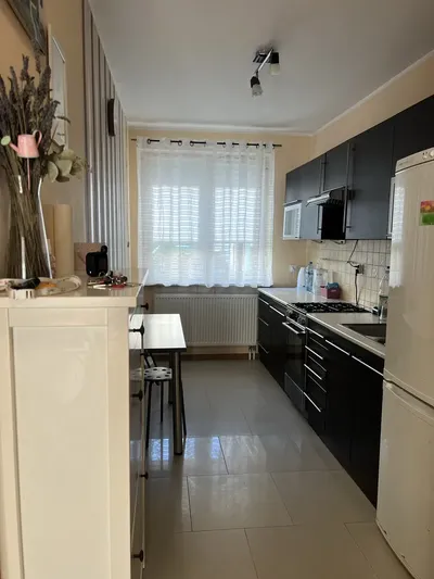 Mieszkanie dwupokojowe z tarasem do wynajecia - miniatura 3