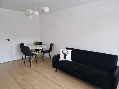 Mieszkanie 3 pokojowe do wynajecia Rubinkowo 1 nowoczesne Torun Łyskowskiego - miniatura 2