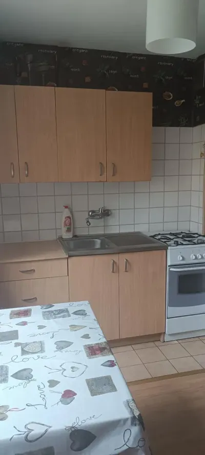 Wynajmę mieszkanie ll piętro, centrum - miniatura 5