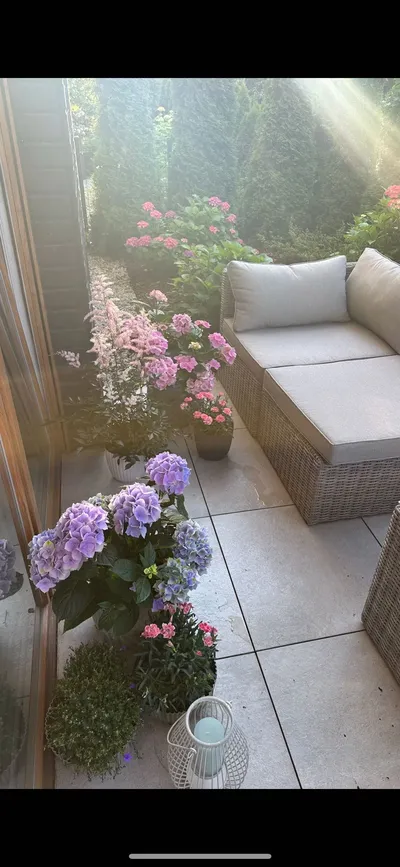 Wynajmę mieszkanie dwupokojowe na osiedlu Park Bażantów - miniatura 5