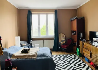 Przestronny pokój w kamienicy - miniatura 2