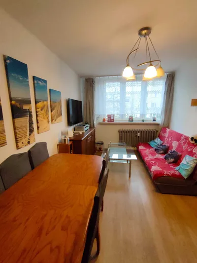 Mieszkanie do wynajęcia, ładne M3 po remoncie - miniatura 2