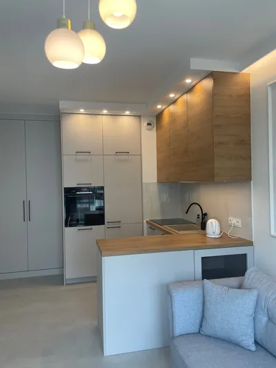 Mieszkanie 50m2 do wynajęcia - miniatura 4
