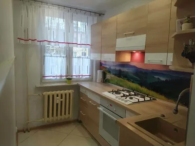 Do wynajęcia mieszkanie 3 pokojowe blisko Parku Śląskiego - miniatura 5