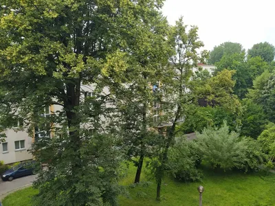 Kraków w centrum - pokój 15 m² do wynajęcia - miniatura 4