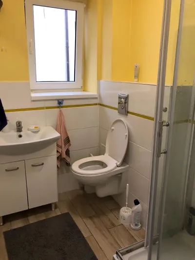 Pokój do wynajęcia w spokojnej okolicy - miniatura 5