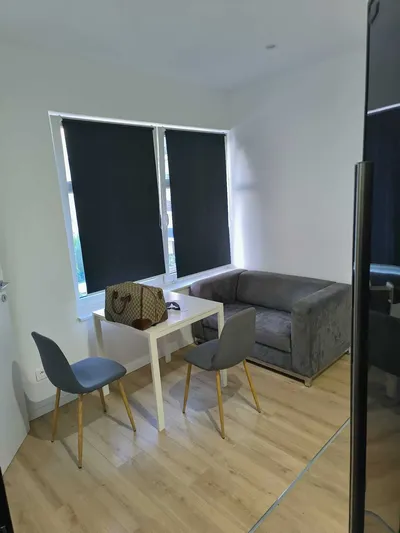 Mieszkanie dwupokojowe na wynajem, 55m2 - miniatura 4