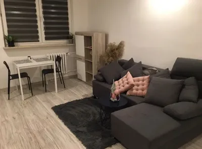 Mieszkanie na wynajem 40m² (Kalinowszczyzna) - miniatura 3