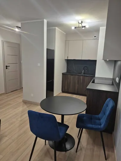 Mieszkanie do wynajęcia – Rzeszów, ul. Solidarności, os. Architektów | 31 m² | parter | miejsce postojowe - miniatura 2