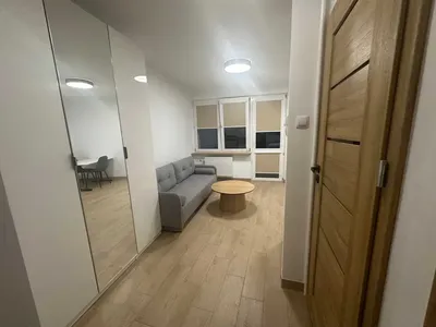 Wynajmę kawalerkę, ul. Cieszkowskiego 7, Górna, Blok z cegły - miniatura 3