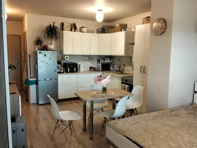 bezposrednio wynajme mieszkanie 30 mk Anin - miniatura 4