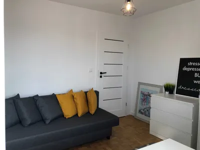 Duży jasny pokój po remoncie blisko centrum ul. Pająkowskiego - miniatura 2