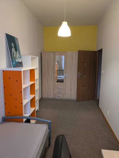 Pokój dla kobiety w centrum Łodzi - miniatura 2