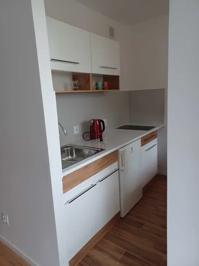 Mieszkanie 1 pokojowe do wynajęcia - miniatura 5