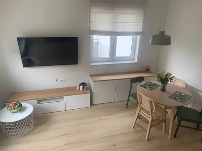 Duża kawalerka z wydzieloną częścią sypialnianą - miniatura 3