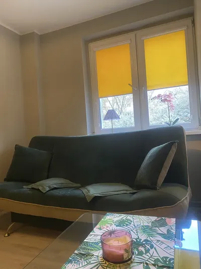 Kawalerka do wynajęcia Wyżyny - miniatura 2