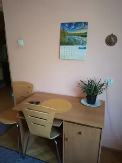 Pokój na wynajem - miniatura 4