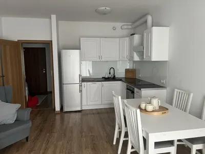 Mieszkanie 56 m2 wynajem - miniatura 4